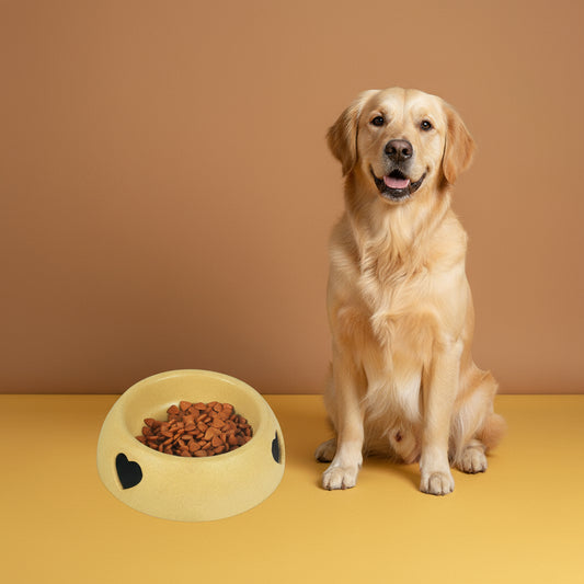 Pet Supplies Dog Bowl Rice Bowl Plastic Love Single Bowl Pet Bowl Cat Food Bowl - Firstpetcentral