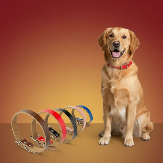 Pet Supplies Pure Leather Dog Collars Pure Leather Dog Collars Dog Chains - Firstpetcentral