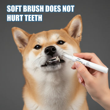 Pet teething pen, dog, cat, tartar, tartar cleaning tool, cat, dog, pet teething pen - Firstpetcentral