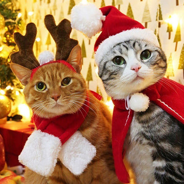 Pet tiara small Christmas tiara - Firstpetcentral