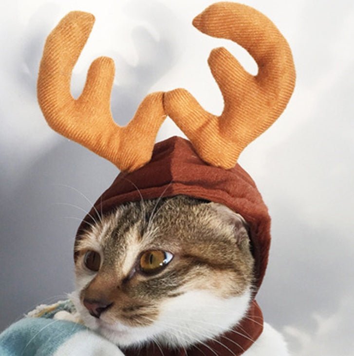 Pet tiara small Christmas tiara - Firstpetcentral