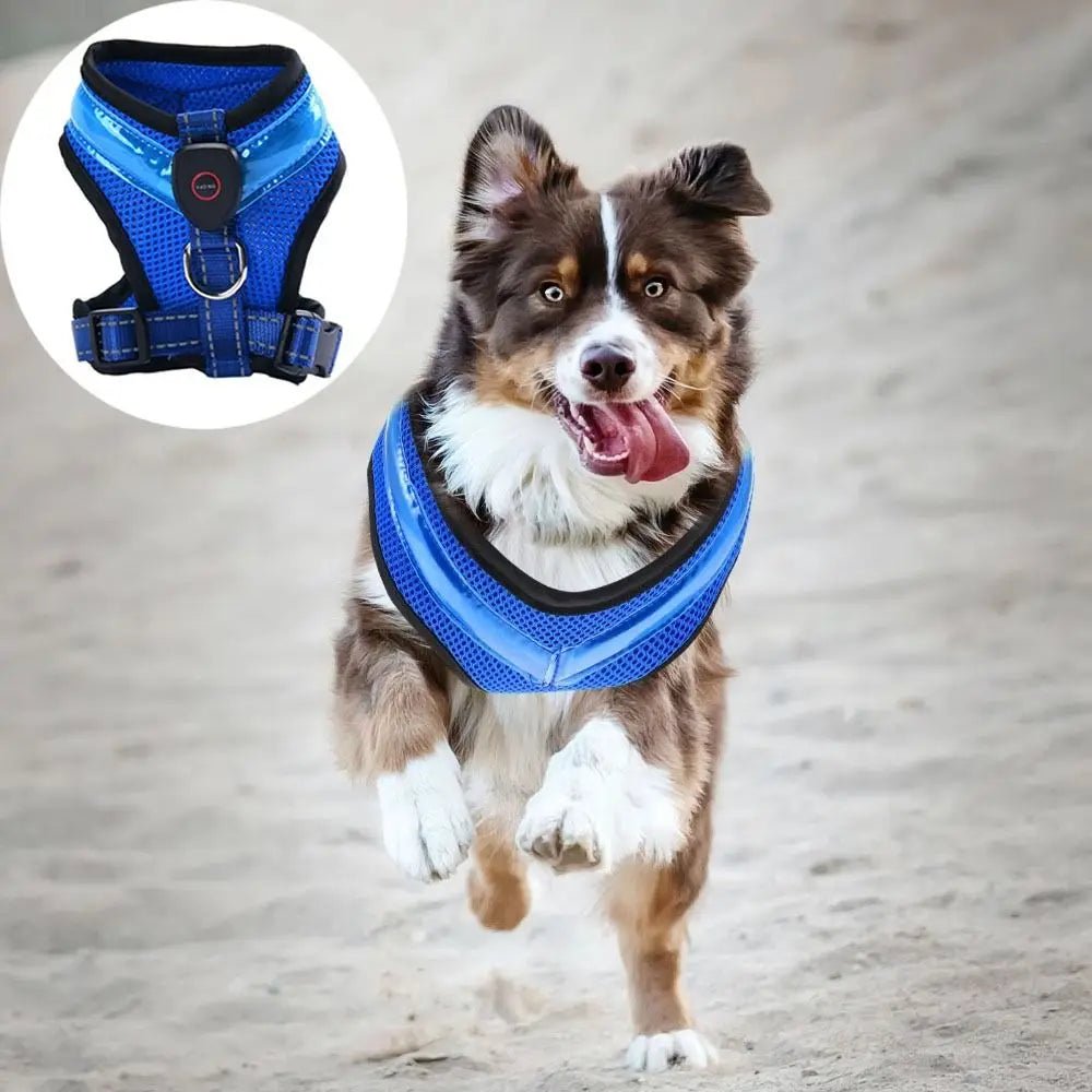 Practical Luminous Pet LED Harness Breathable Rechargeable Dog Traction Harness Waterproof Dog Vest Night - Firstpetcentral