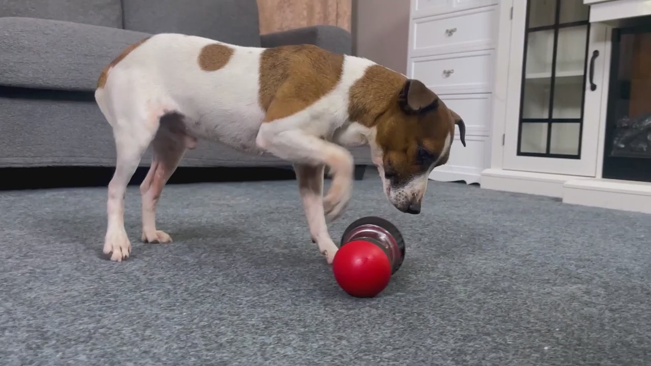 Dog Toy Tumbler Leaky Food Ball Elliptical Track Rolling Ball Slowly Feeding Protects Stomach Increase Intelligence Pet Supplies.
