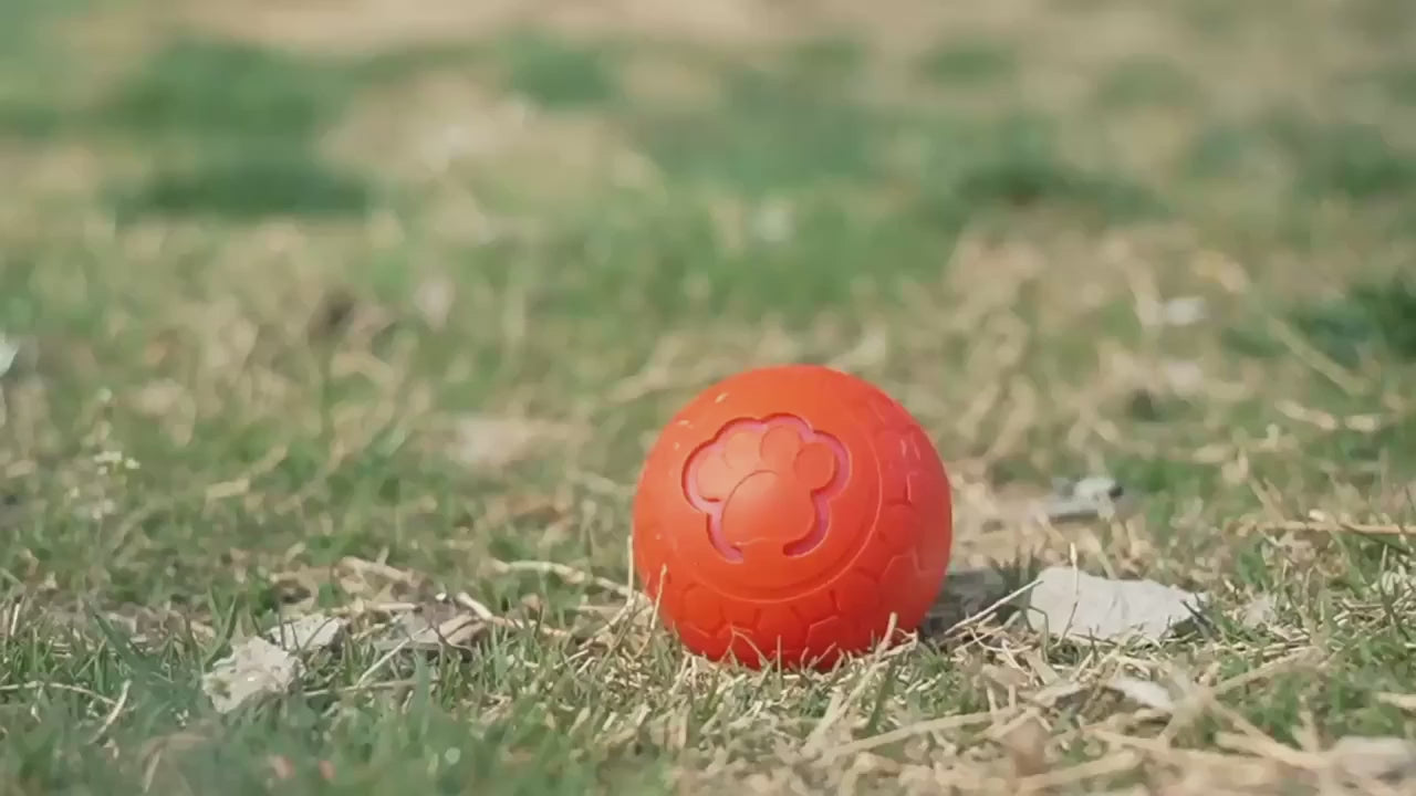Smart Interactive Dog Ball - Rechargeable, Bite-Resistant, LED Bouncing Play Video