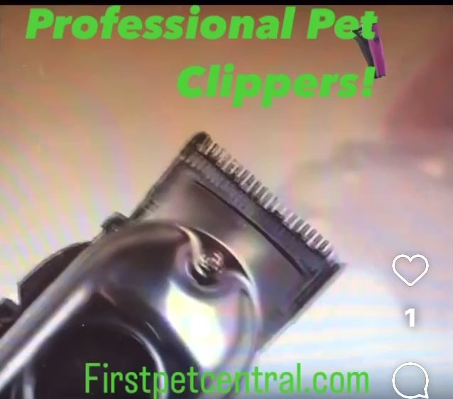 first pet central
