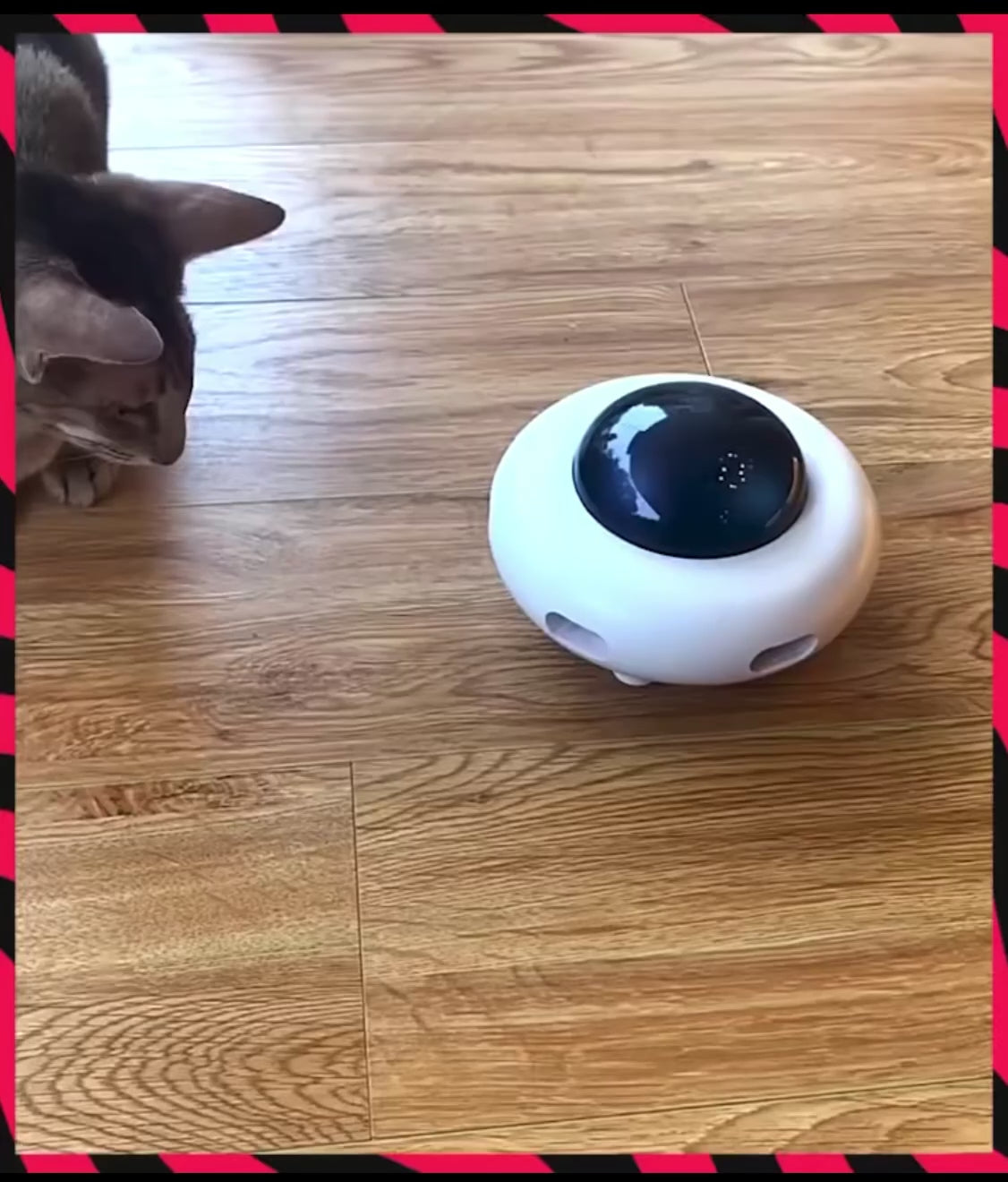 Automatic Cat Feather Teaser Toy - Interactive Electric UFO Toy for Mental Stimulation Video