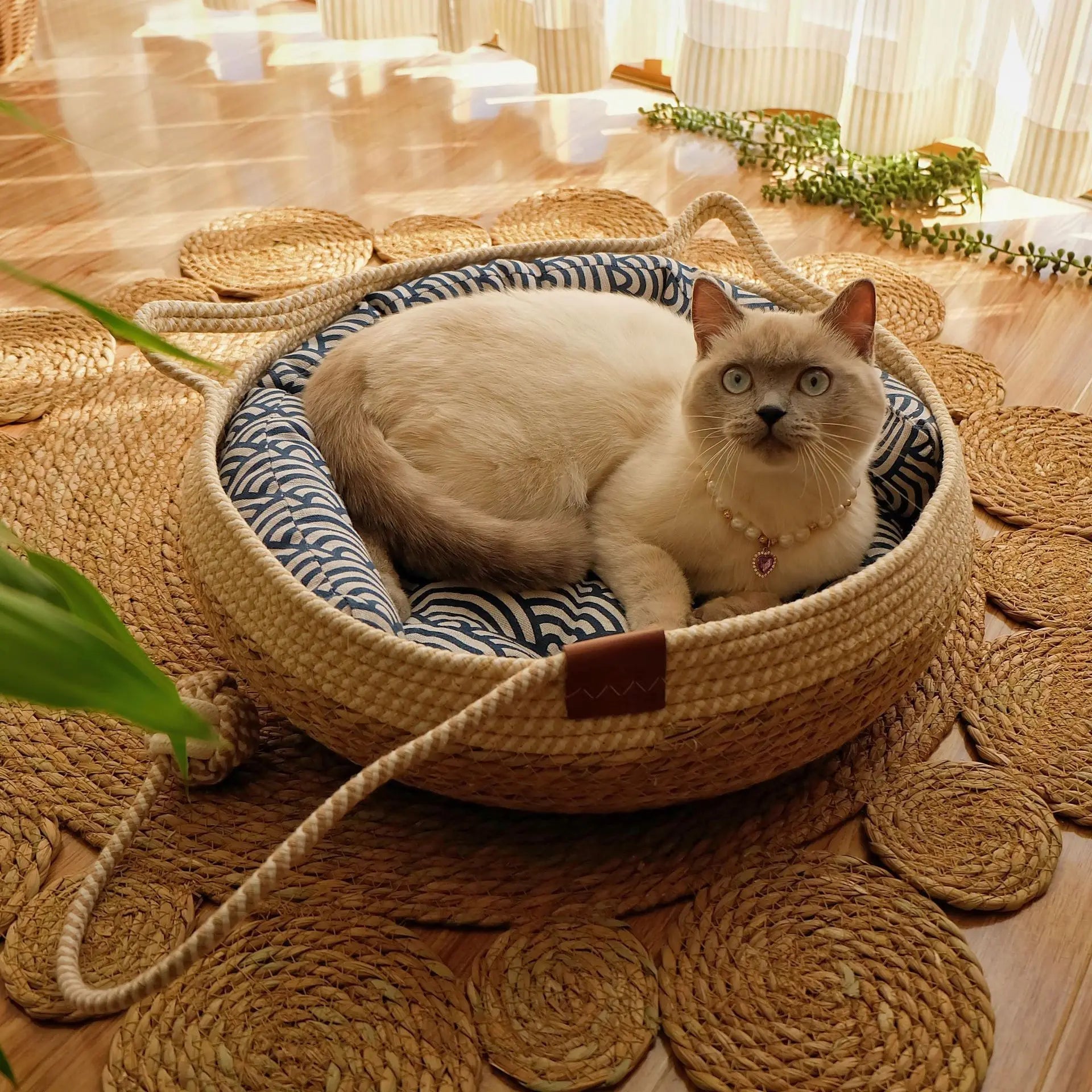 Rattan Woven Cozy All Season Cat Puppy Bed - Firstpetcentral