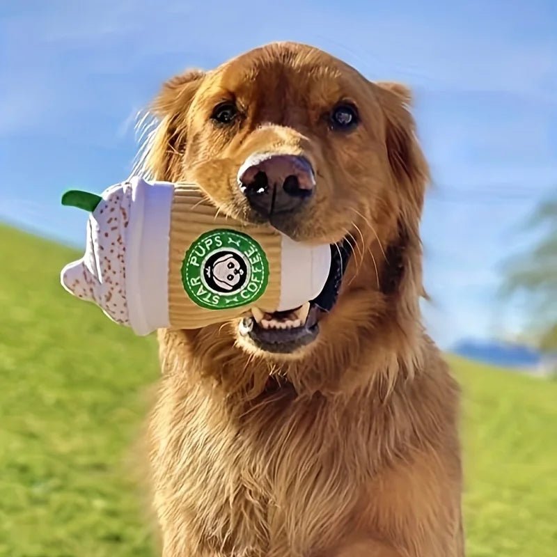 Star Pups Coffee Plush Squeaky Toy for Dogs - Cartoon Patterned Fabric, Medium Breed Recommended, Interactive Pumpkin Spice - Firstpetcentral