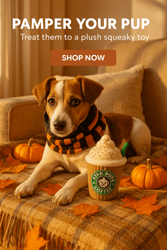 Star Pups Coffee Plush Squeaky Toy for Dogs - Cartoon Patterned Fabric, Medium Breed Recommended, Interactive Pumpkin Spice - Firstpetcentral