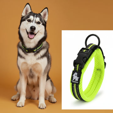 Truelove Adjustable Nylon Dog Collars Mesh Padded Reflective Collar Pet - Firstpetcentral