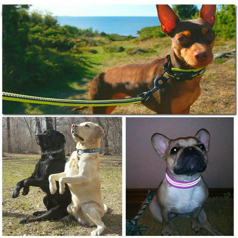 Truelove Adjustable Nylon Dog Collars Mesh Padded Reflective Collar Pet - Firstpetcentral