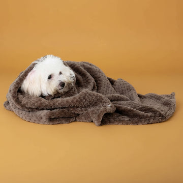 Warm Dog Blanket Soft & Cozy Pet Blanket for Dogs - Firstpetcentral
