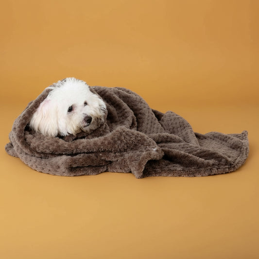 Warm Dog Blanket Soft & Cozy Pet Blanket for Dogs - Firstpetcentral